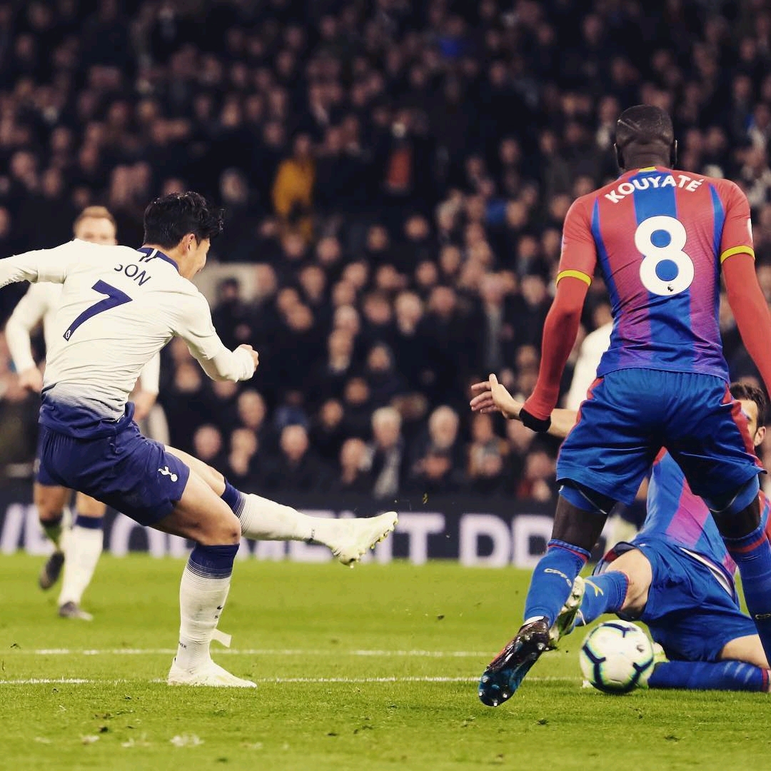 将有可能成 将有可能成